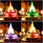 Imagine atasata: fantana-cu-pesti-colorata-timisoara.jpg